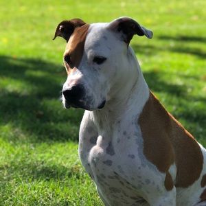 Meet your Posher, Klerissa